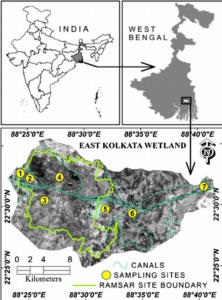 Wetlands of East Calcutta, Location, Ramsar Site_50.1