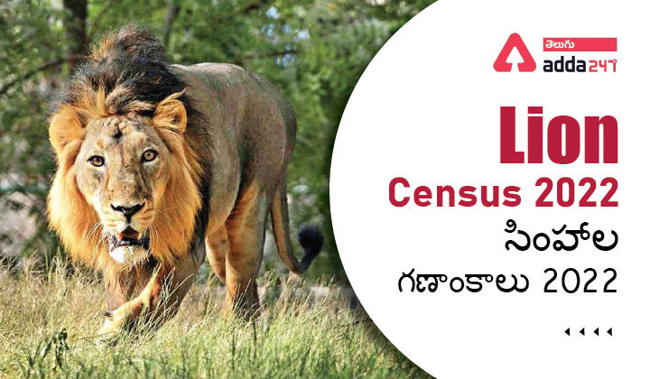Lion Census 2022_30.1