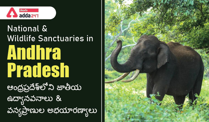 National Parks & Wildlife Sanctuaries in Andhra Pradesh | APPSC Groups_30.1