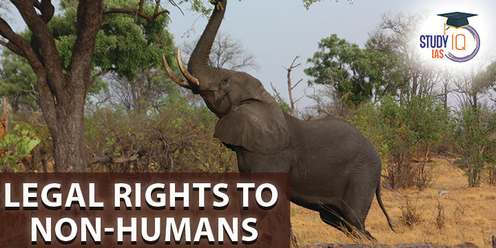Legal Rights to Non Humans