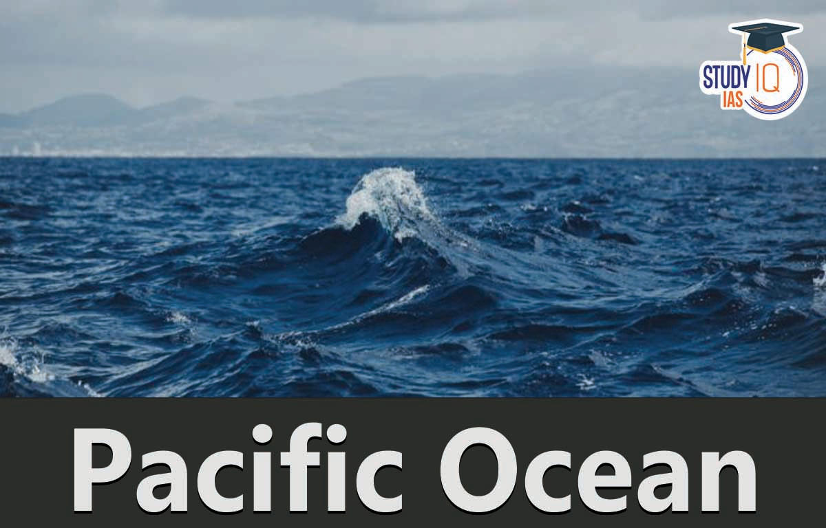Underwater Volcanic Eruption Creates a New Island in the Pacific Ocean