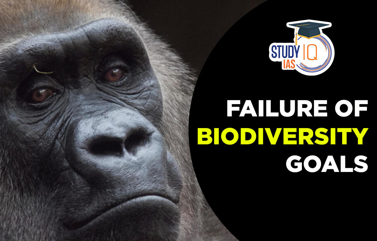 Failure of Biodiversity Goals