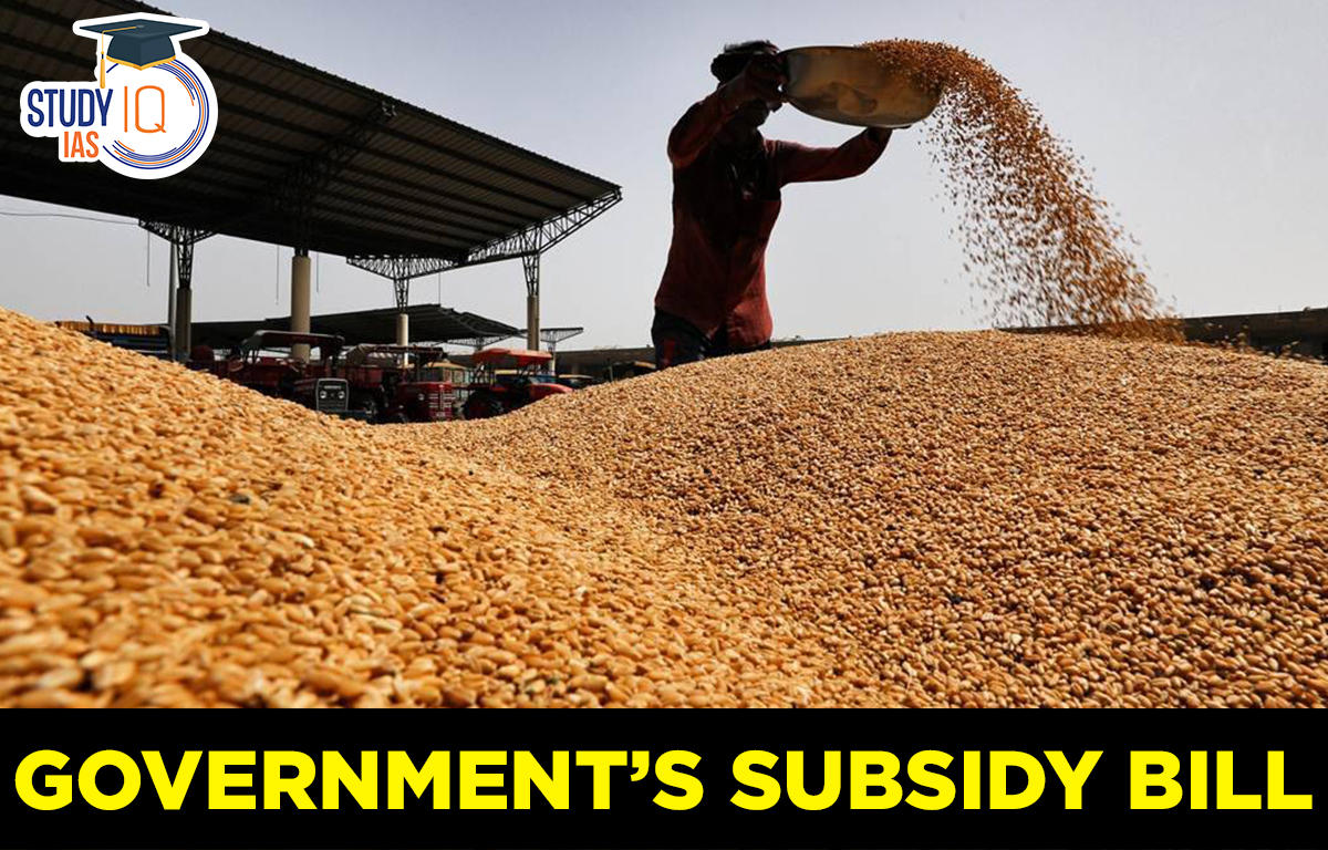 Governments Subsidy Bill