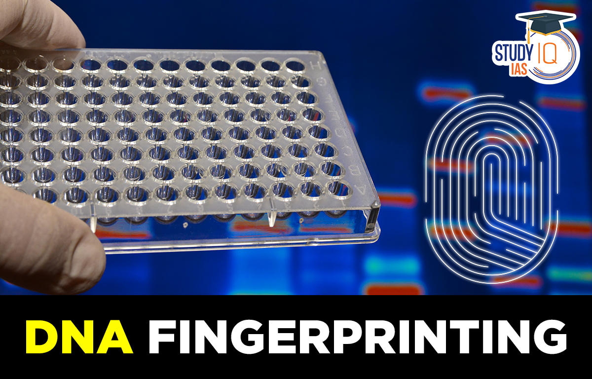 DNA Fingerprinting