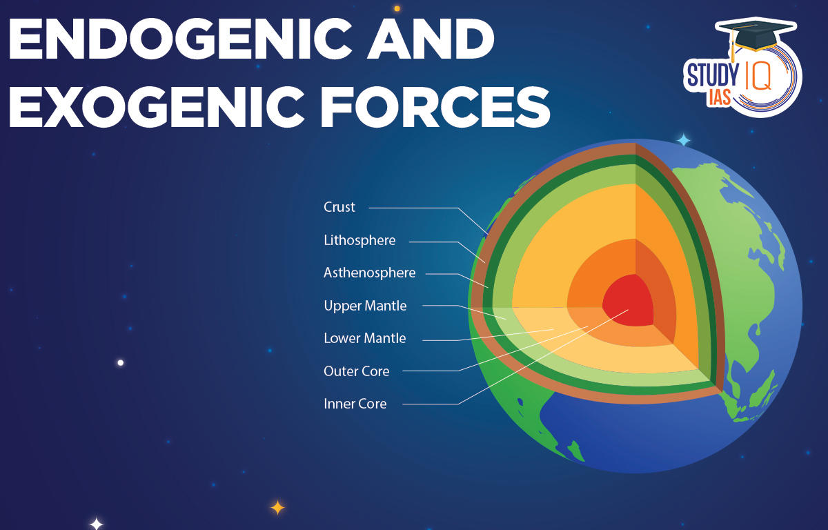 Endogenic and Exogenic Forces