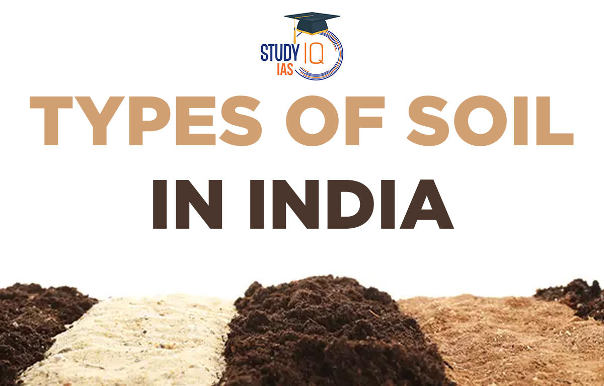 Types of Soil in India