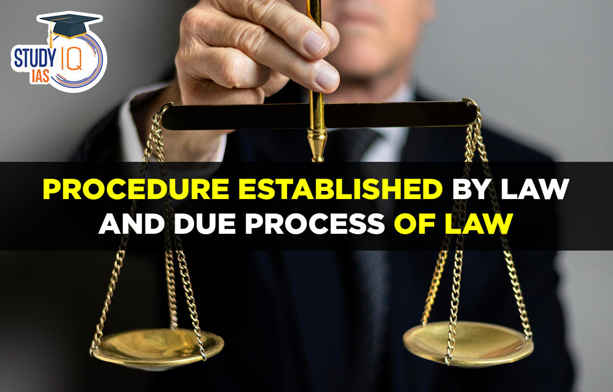 Procedure Established by Law and Due Process of Law