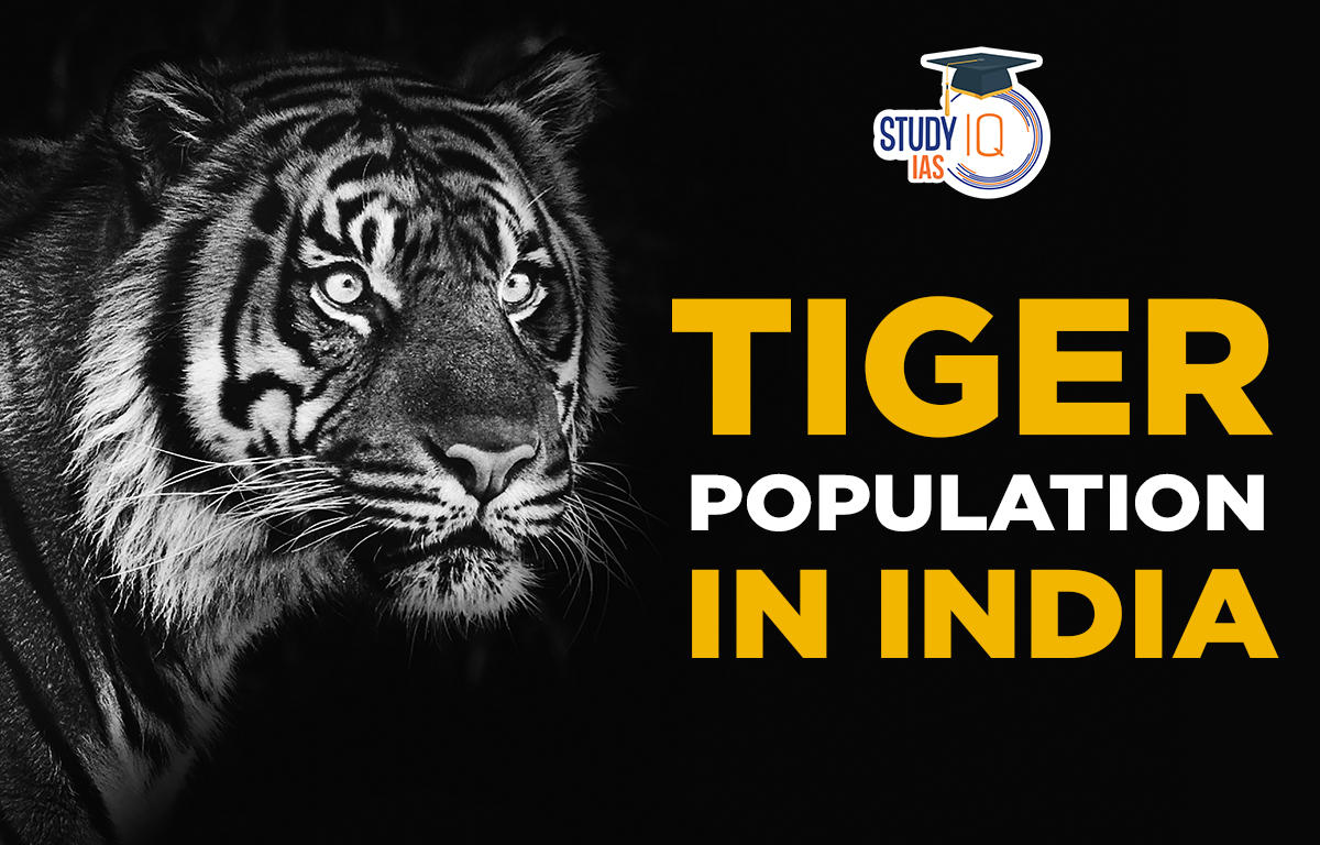 Tiger Population in India