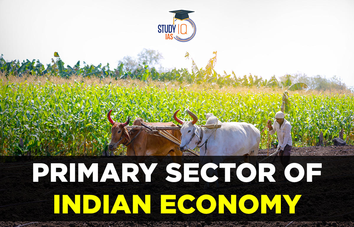 Primary sector of Indian economy