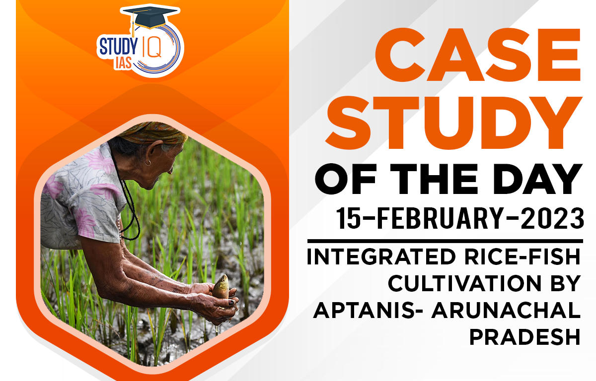 Integrated rice-fish cultivation by Aptanis- Arunachal Pradesh