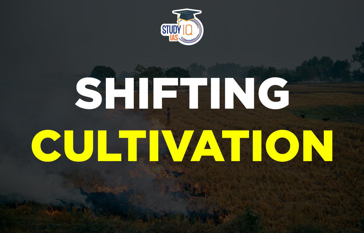 Shifting cultivation