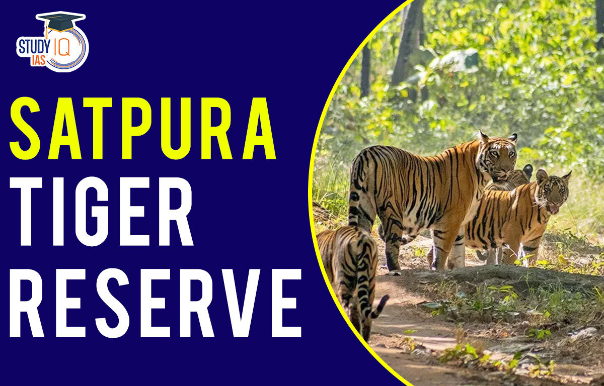 Satpura tiger reserve