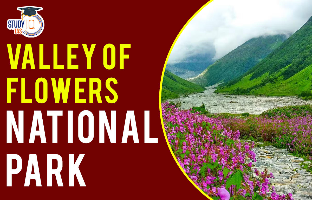 Valley of flowers national park