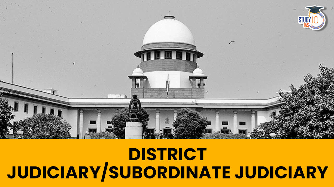 District Judiciary/Subordinate Judiciary