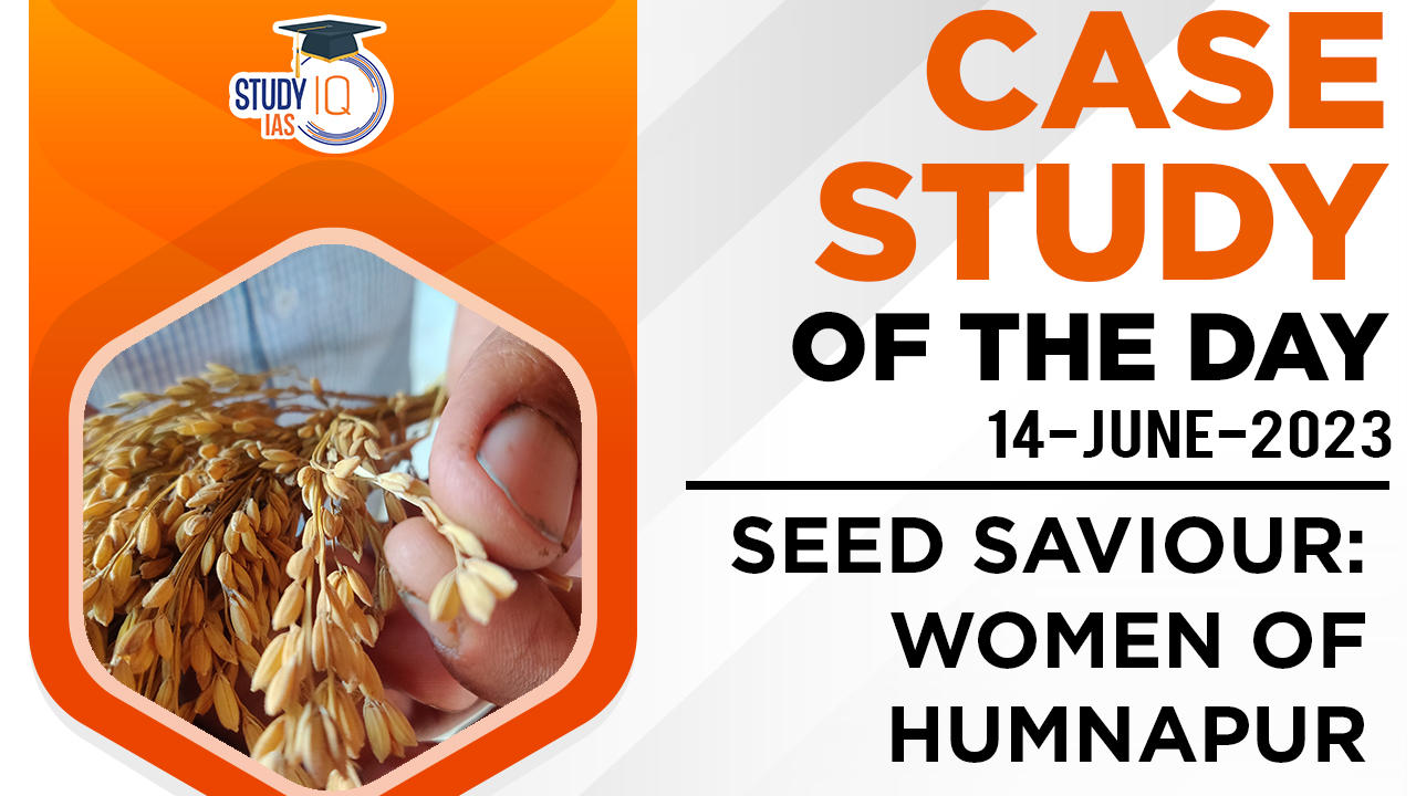 Seed Saviour- Women of Humnapur