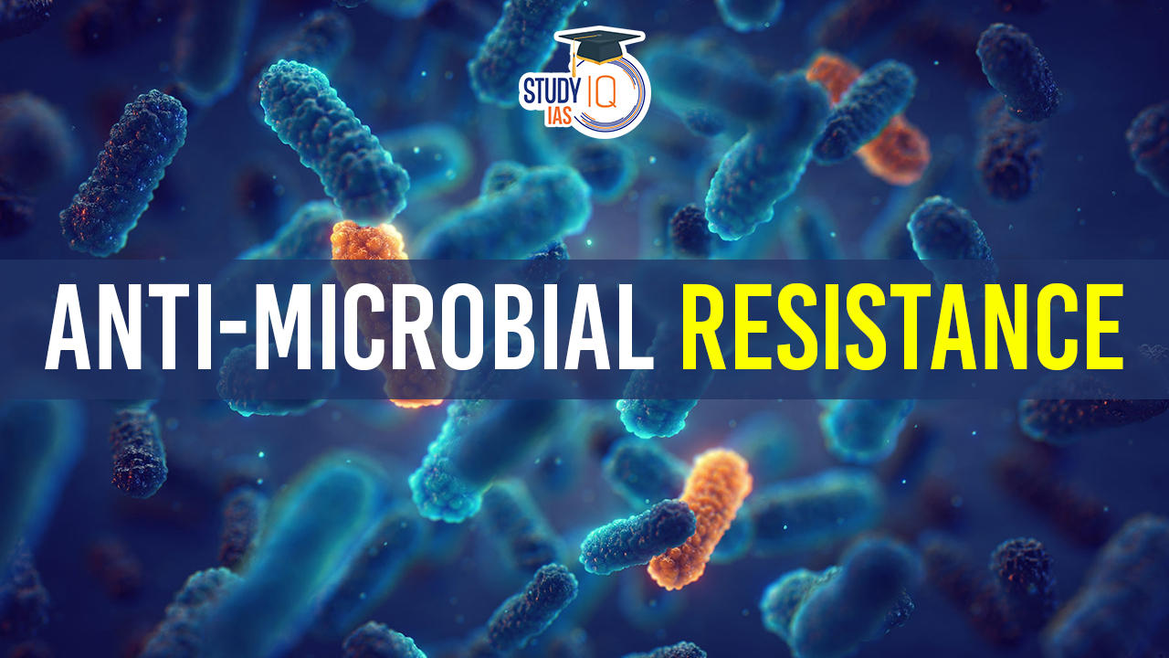 Anti-Microbial Resistance in India: Causes, Consequences & Prevention - IAS  EXPRESS