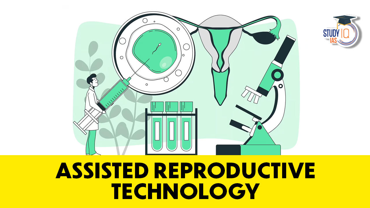 Assisted Reproductive Technology 2772