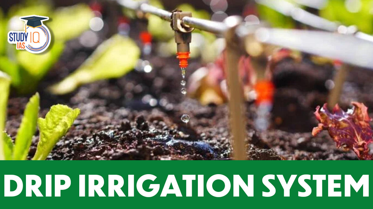 drip irrigation system