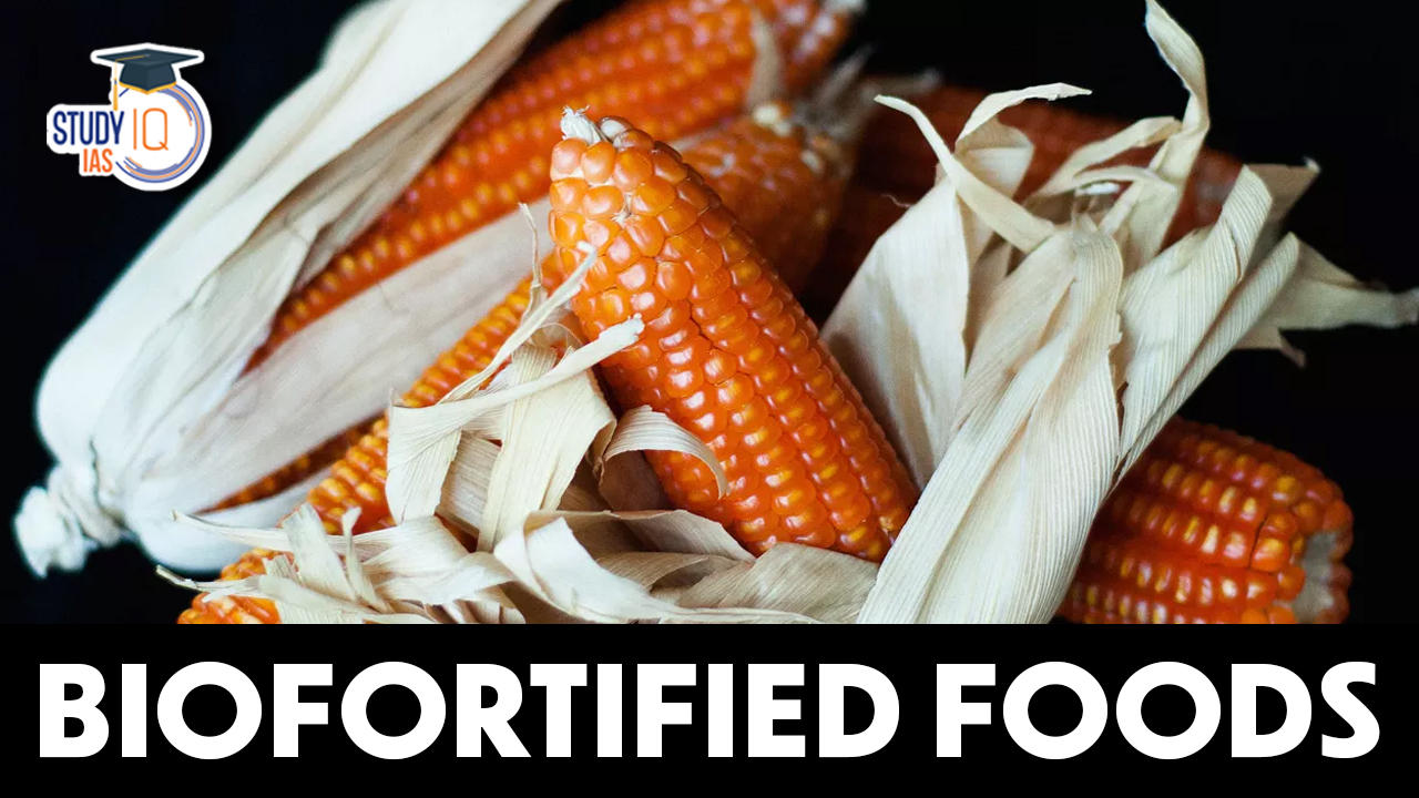 Biofortified Foods