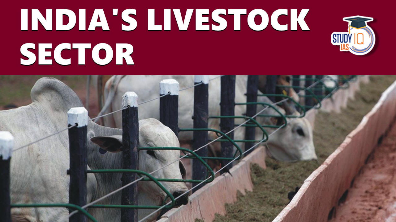 India's Livestock Sector