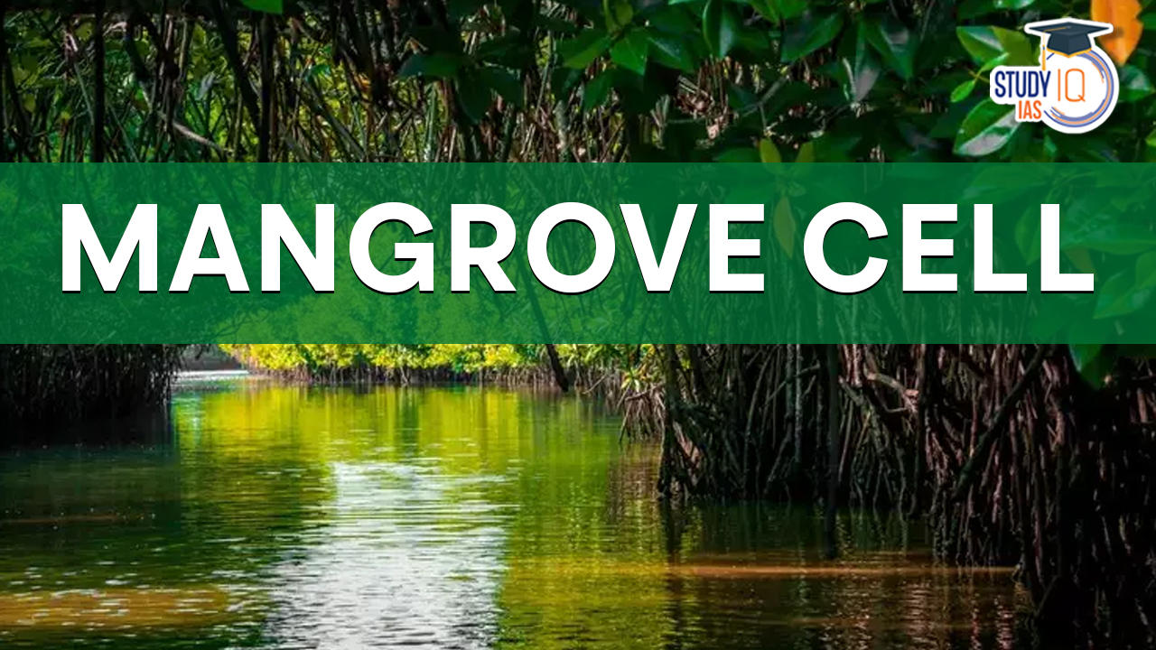 Mangrove Cell