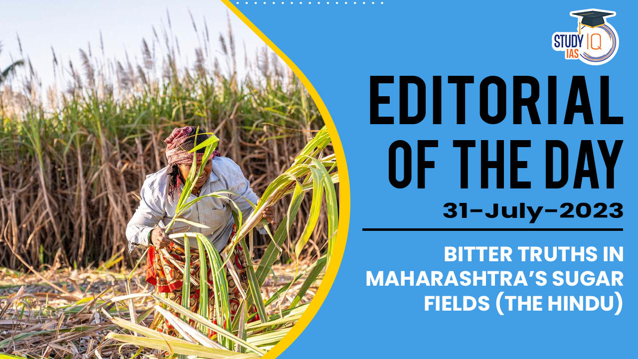 Bitter truths in Maharashtra’s sugar fields