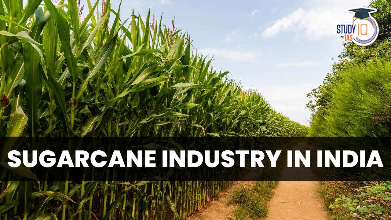 Sugarcane Industry in India