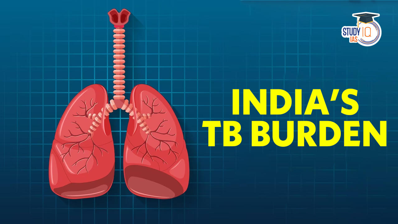 India’s TB Burden