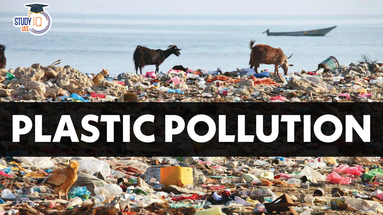 Plastic Pollution, Sources, Types, Causes, Impacts