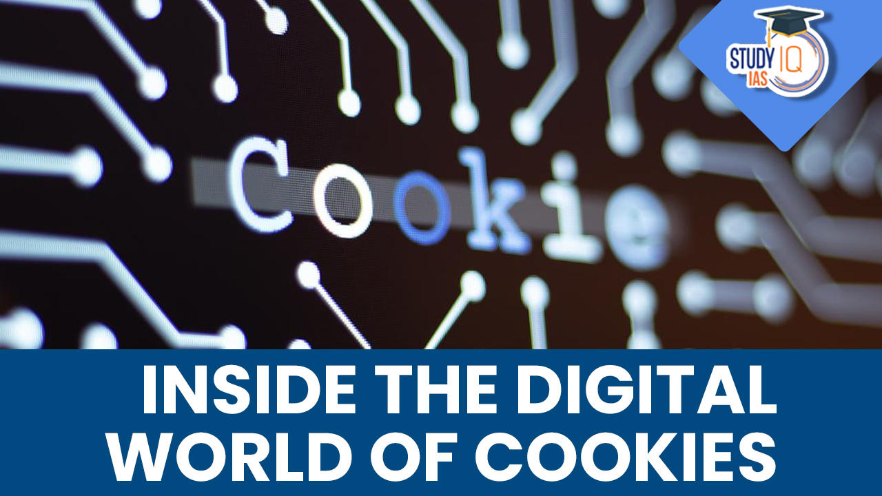 Inside the Digital World of Cookies