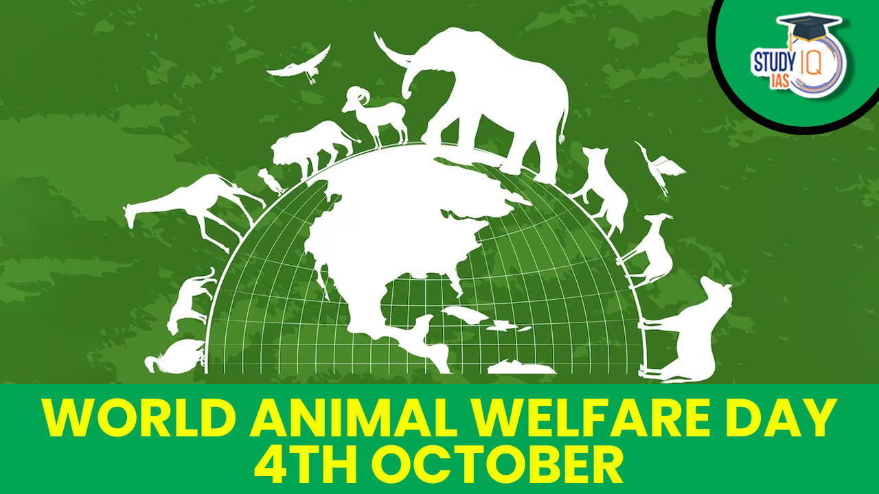 World Animal Welfare Day 4th October
