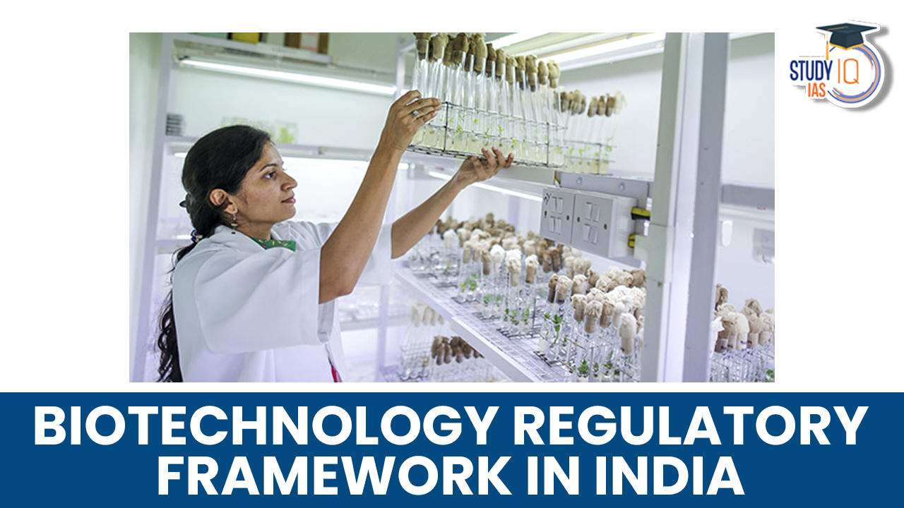 Biotechnology-regulatory-framework-in-India