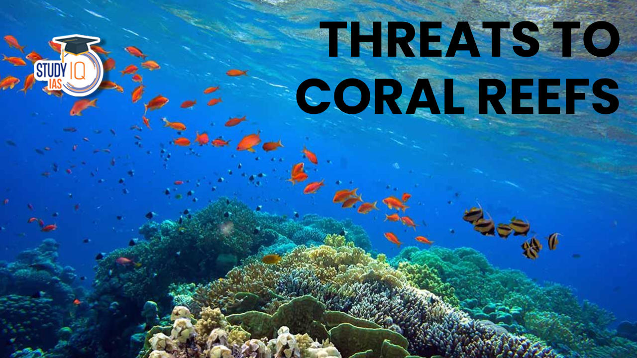 Threats to Coral Reefs