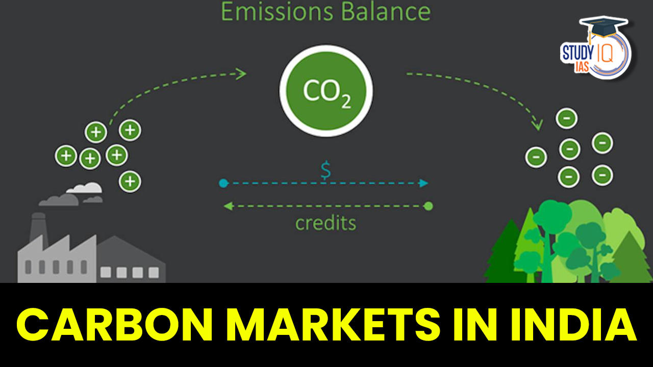 Carbon Markets in India