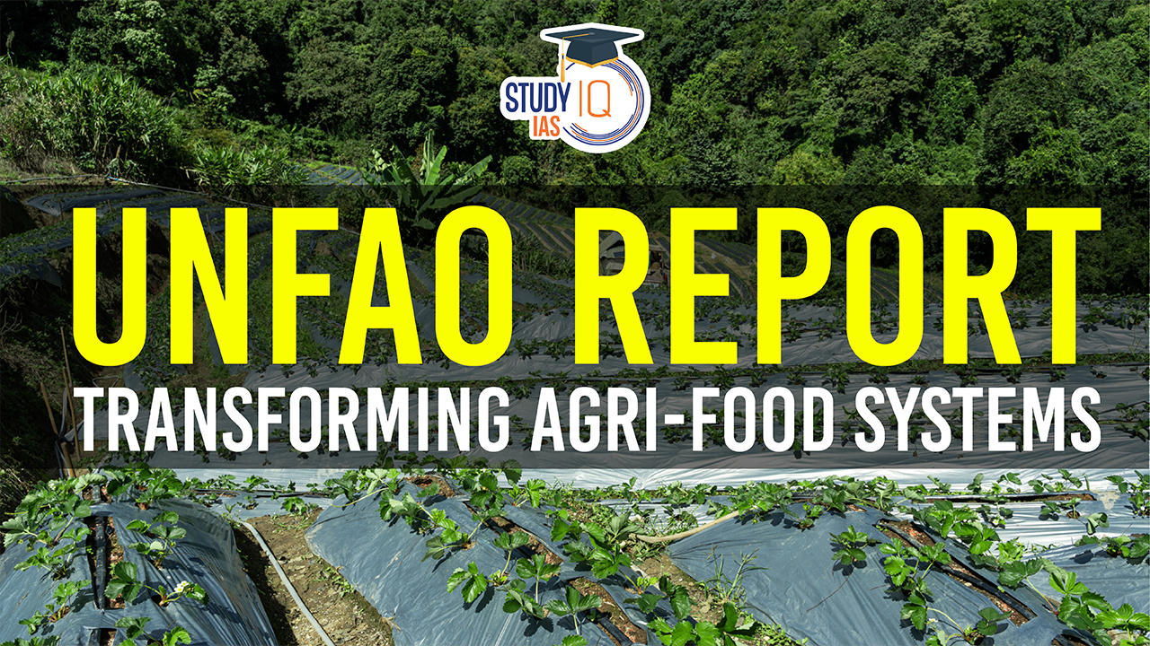 UNFAO Report Transforming agri food systems