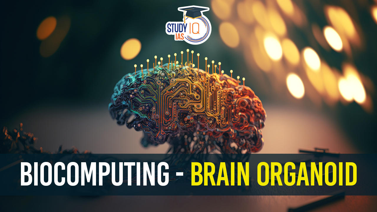 Biocomputing - Brain Organoid
