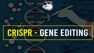 Crispr gene editing