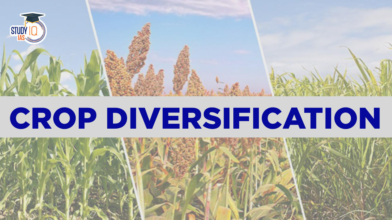 Crop Diversification