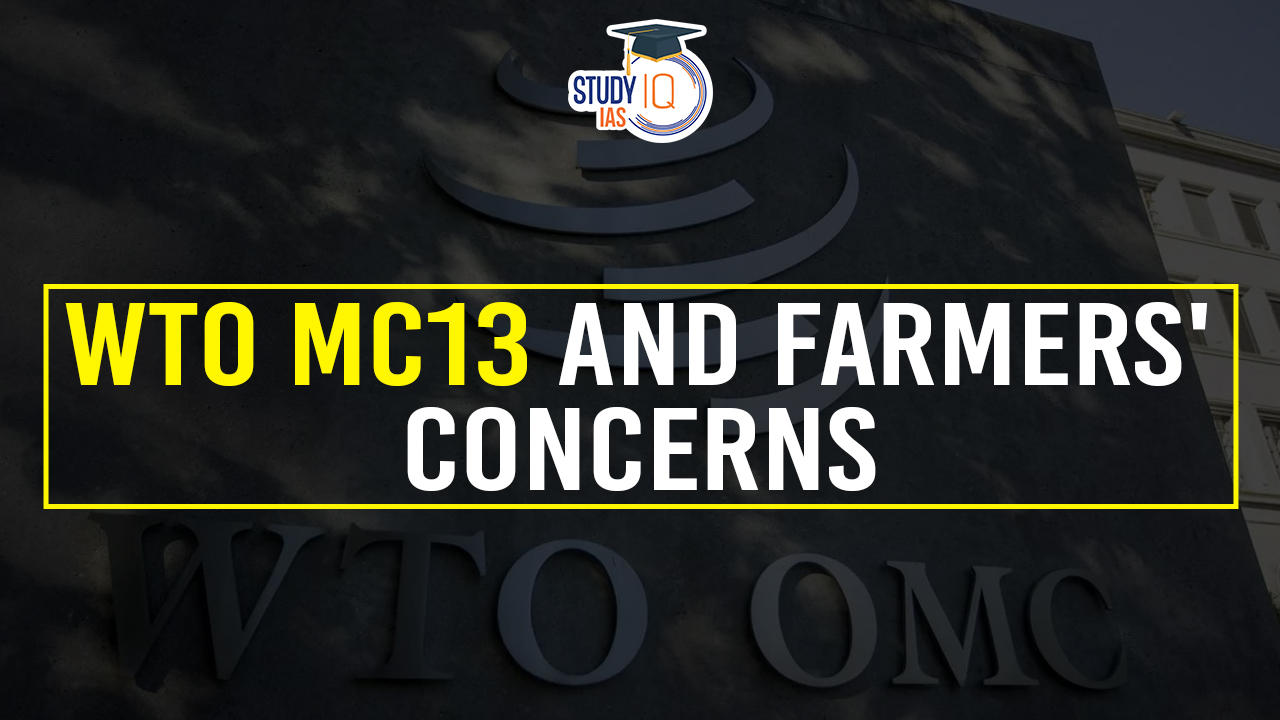 WTO MC13 and Farmers' Concerns (1)