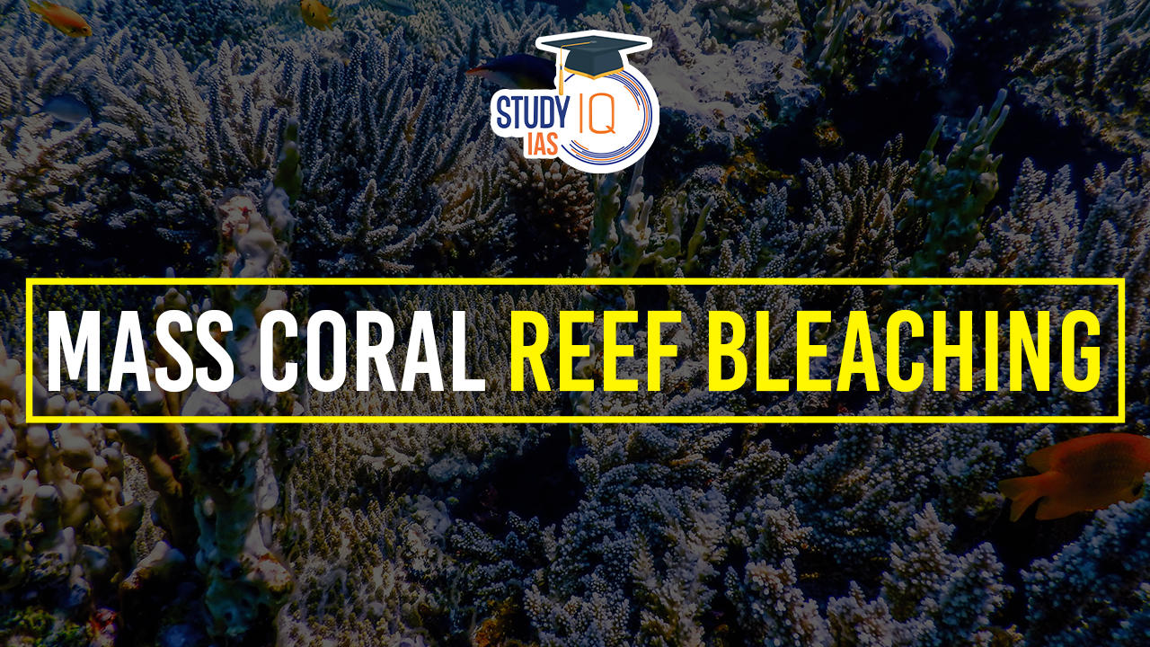 Mass Coral reef bleaching (1)