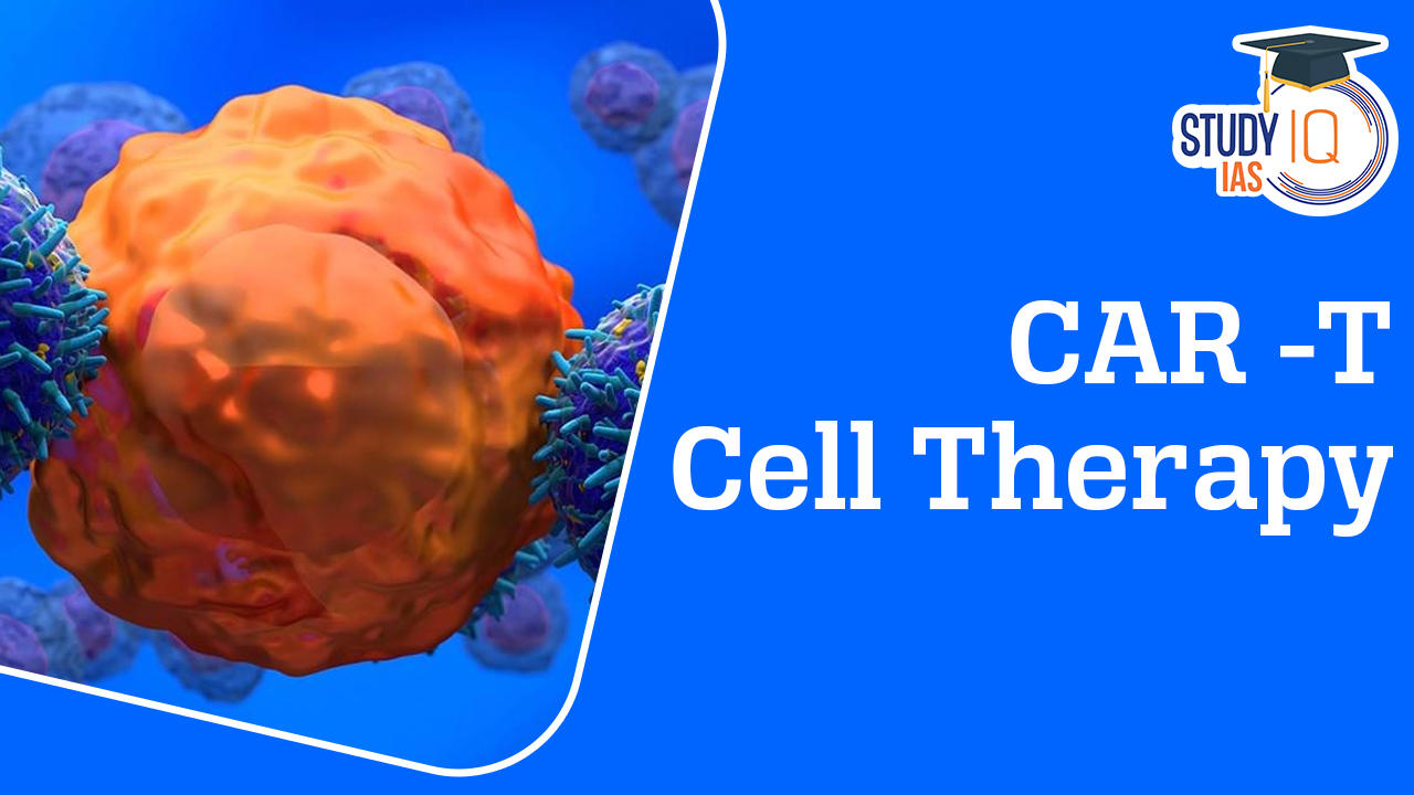 CAR -T Cell Therapy