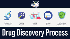 Drug Discovery Process, Research Initiatives in India