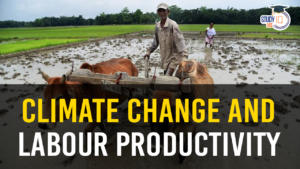 Climate Change and Labour Productivity