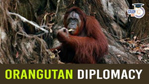 Orangutan Diplomacy: Historical Precedents and Consequences