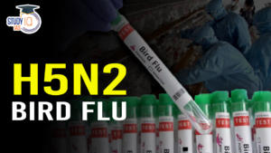 H5N2 bird flu