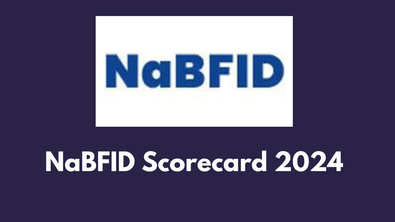 NaBFID Scorecard 2024 Out 