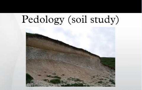 Study of the soil (മണ്ണിനെ കുറിച്ചുള്ള പഠനം) | KPSC & HCA Study Material_20.1