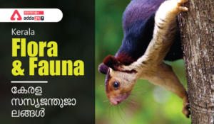 Kerala Flora and Fauna