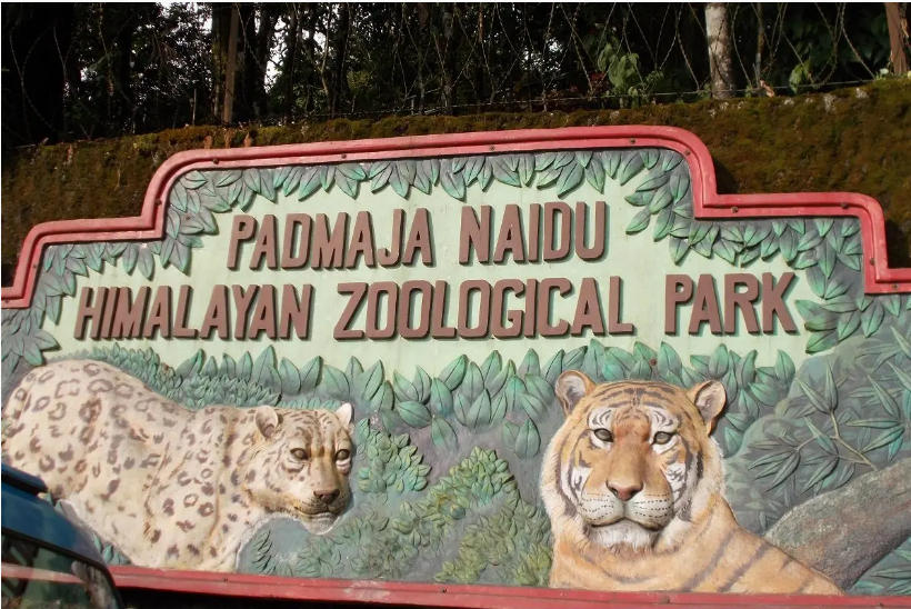 Padmaja Naidu Himalayan Zoological Park in Darjeeling recognised as best zoo