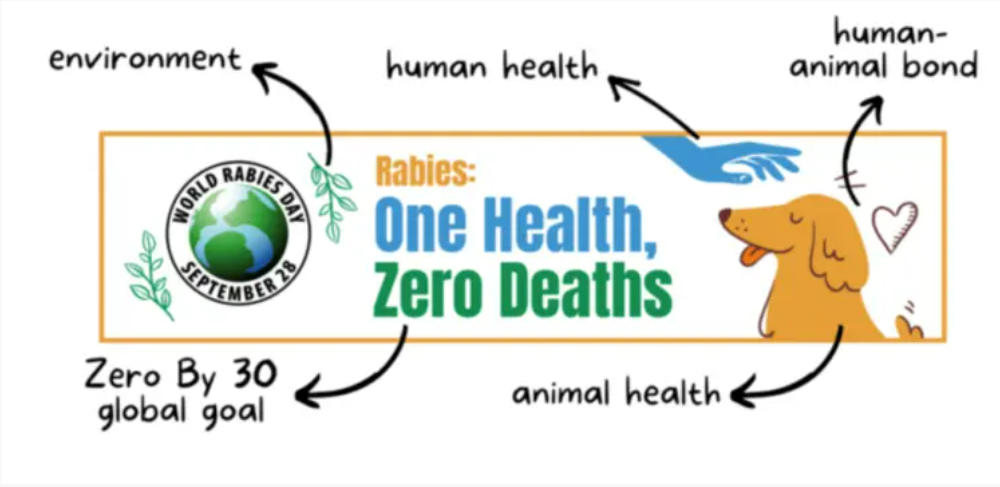 World Rabies Day 2022: Theme, Significance & History